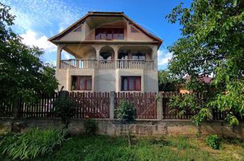 Casă de vânzare cu  teren de 3.869 mp în Cosniciu de Jos /Ip, Sălaj anunturi imobiliare Salaj