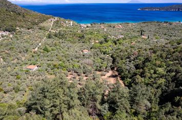 Teren construibil 6231 mp în Koinira, Thassos anunturi imobiliare Grecia