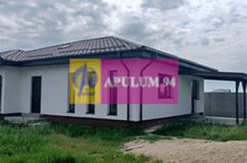 Casă nouă 3 camere parter, curte 443 mp, Săbăreni anunturi imobiliare Giurgiu