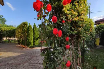 Casă - 6 camere de vanzare PIPERA - Bucuresti anunturi imobiliare Bucuresti
