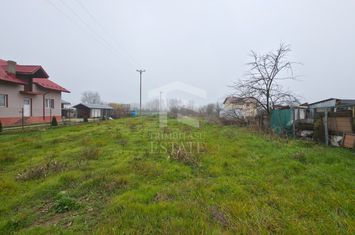Teren intravilan de vânzare – Ciorogârla, Ilfov anunturi imobiliare Bucuresti