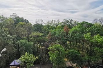 Brand NEW apartment with Herastrau Park view anunturi imobiliare Bucuresti