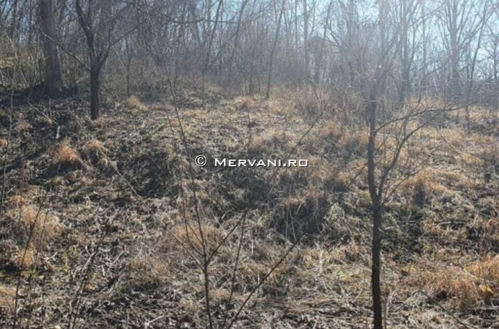 Teren de vânzare în Cornu anunturi imobiliare Prahova