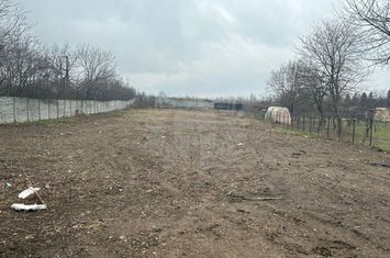 TEREN INTRAVILAN//2490 MP//ZONA MIHAI BRAVU//GRAL anunturi imobiliare Prahova
