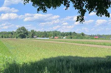 Teren de vanzare FRATAUTII VECHI - Suceava anunturi imobiliare Suceava