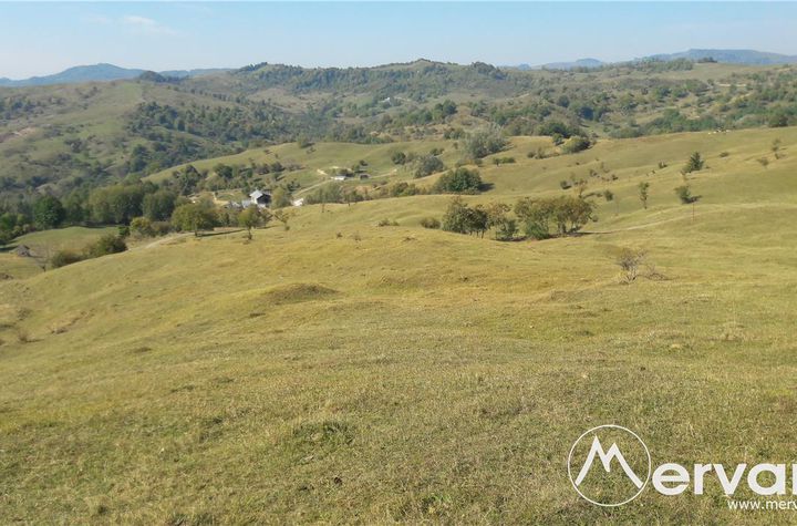 Teren Intravilan de vanzare BREAZA - Prahova anunturi imobiliare Prahova