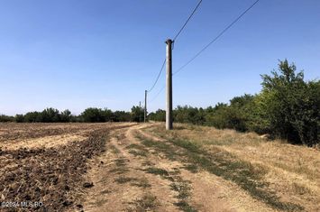 Moara Vlasiei - langa Padurea Biglaru, 11.884 mp, deschidere 40 ml anunturi imobiliare Bucuresti
