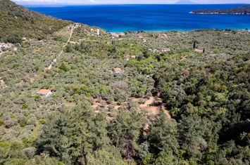 Teren construibil 6231 mp în Koinira, Thassos anunturi imobiliare Grecia