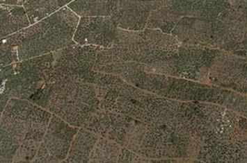 Teren construibil 4.237,72 mp în Skala Kallirachis anunturi imobiliare Grecia