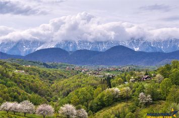 Teren Intravilan de vanzare BRAN - Brasov anunturi imobiliare Brasov