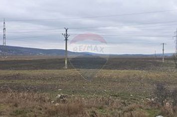 Oportunitate de investiție strategică: Teren extravilan lângă Vaslui!! anunturi imobiliare Vaslui