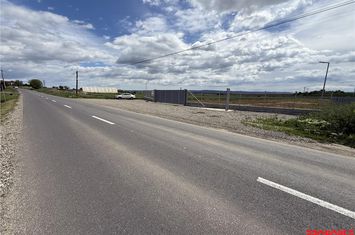 Teren Intravilan de vanzare CENTRAL - Bacau anunturi imobiliare Bacau