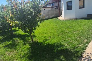 Casa individuala P+1+pod Comuna  Berceni-Str.1 Decembrie -teren 450mp anunturi imobiliare Bucuresti