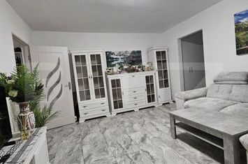 Apartament 2 camere de vanzare DAMBOVITA - Timis anunturi imobiliare Timis