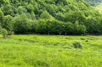 Teren Intravilan de vanzare MARISEL - Cluj anunturi imobiliare Cluj