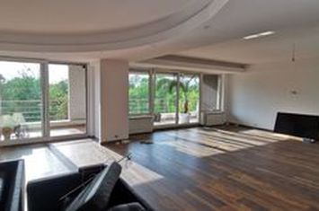Herastrau Park view - all new 2024 finishings anunturi imobiliare Bucuresti