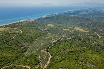 Teren 16.000 mp, Kariani (Kavala) anunturi imobiliare Grecia