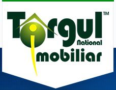 TNI - instrument de marketing imobiliar !