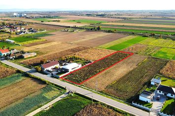 Teren Intravilan de vanzare NORD - Satu Mare anunturi imobiliare Satu Mare