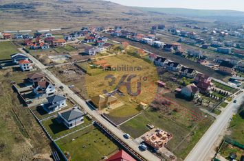 Teren de vanzare CHINTENI - Cluj anunturi imobiliare Cluj