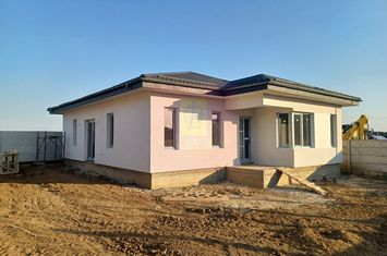 Dragomirești casă parter 4 camere 2 băi, terasă, apă, canalizare, gaze anunturi imobiliare Bucuresti