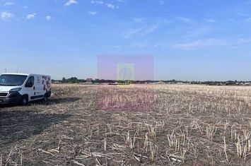 Teren Domnesti strada Ciocarliei. anunturi imobiliare Bucuresti