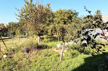 Casă de vânzare în Biharia anunturi imobiliare Bihor
