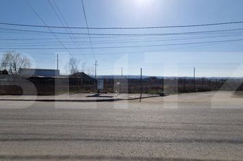 Teren de vanzare CERNELE - Dolj anunturi imobiliare Dolj