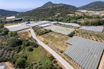 Teren construibil 4.483 mp în Mirtofito, Kavala anunturi imobiliare Grecia