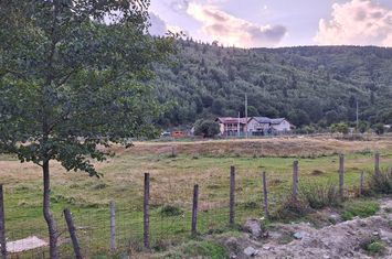 Teren 11547 mp Leresti - Pojorata judetul Arges anunturi imobiliare Arges