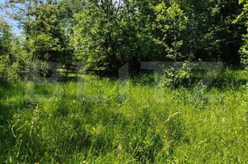 Teren de vanzare PIETROSITA - Dambovita anunturi imobiliare Dambovita
