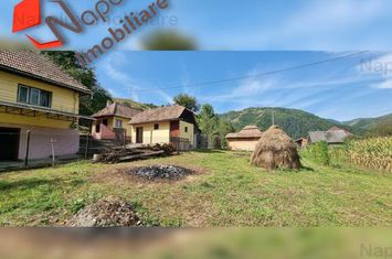 Casă - 4 camere de vanzare BAIA DE ARIES - Alba anunturi imobiliare Alba