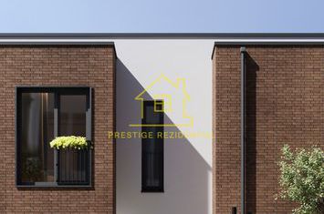 Vila A1 Modernă cu Finisaje Premium – Zona Titan-Pallady_P+1 anunturi imobiliare Bucuresti