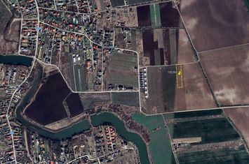 Teren intravilan 4657 mp, deschidere 30 ml, Ostratu, strada Lotusului anunturi imobiliare Bucuresti