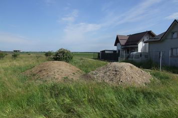 Teren Intravilan de vanzare DOMNESTI - Bucuresti anunturi imobiliare Bucuresti