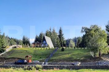Vilă - 4 camere de vanzare BISTRITA - Bistrita-Nasaud anunturi imobiliare Bistrita-Nasaud