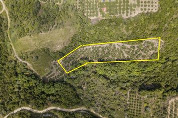 Teren 3375 mp, 150 m de mare, Loutra Eleftheron anunturi imobiliare Grecia