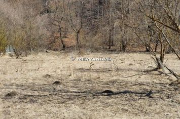 Teren de vânzare în Bușteni (zona Piatra Arsă) anunturi imobiliare Prahova