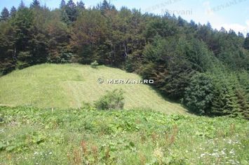 Teren de vânzare în Azuga (zona Semicentrală) anunturi imobiliare Prahova