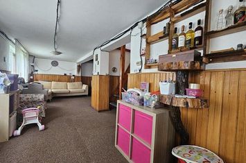 Vila de vacanta Provita de jos anunturi imobiliare Prahova