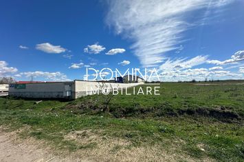Teren de vanzare CENTURA  - Gorj anunturi imobiliare Gorj