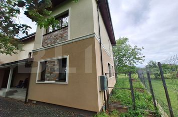 Vilă - 4 camere de vanzare SANANDREI - Timis anunturi imobiliare Timis
