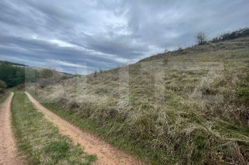 Teren de vanzare DRAMBAR - Alba anunturi imobiliare Alba