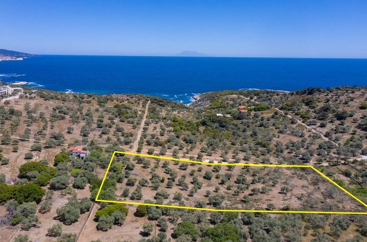 Teren construibil 7.752 mp — Astrida, Thassos anunturi imobiliare Grecia