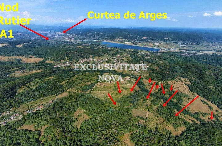 Oază de natură și oportunitate în Băiculești – Valea lui Enache, Argeș anunturi imobiliare Arges