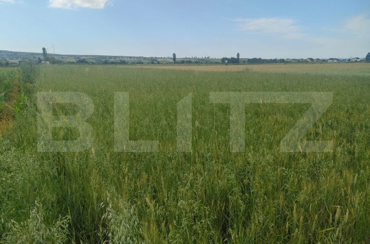 Teren de vanzare HORODNIC - Suceava anunturi imobiliare Suceava