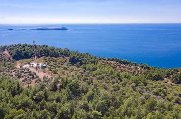 Teren agricol 5.031 mp în Astris, Thassos anunturi imobiliare Grecia