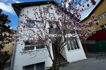 Vilă - 7 camere de vanzare CETATE - Alba anunturi imobiliare Alba
