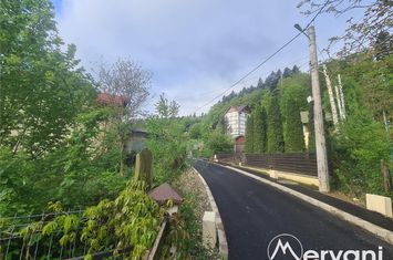 Teren Intravilan de vanzare SINAIA - Prahova anunturi imobiliare Prahova