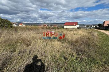 Teren Intravilan de vanzare CETATE - Alba anunturi imobiliare Alba